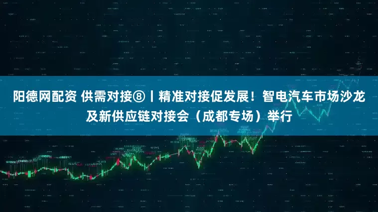 阳德网配资 供需对接⑧丨精准对接促发展！智电汽车市场沙龙及新供应链对接会（成都专场）举行