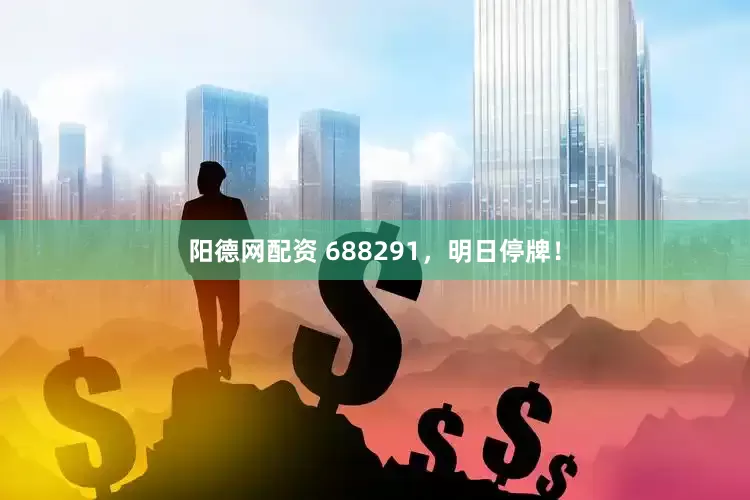 阳德网配资 688291，明日停牌！
