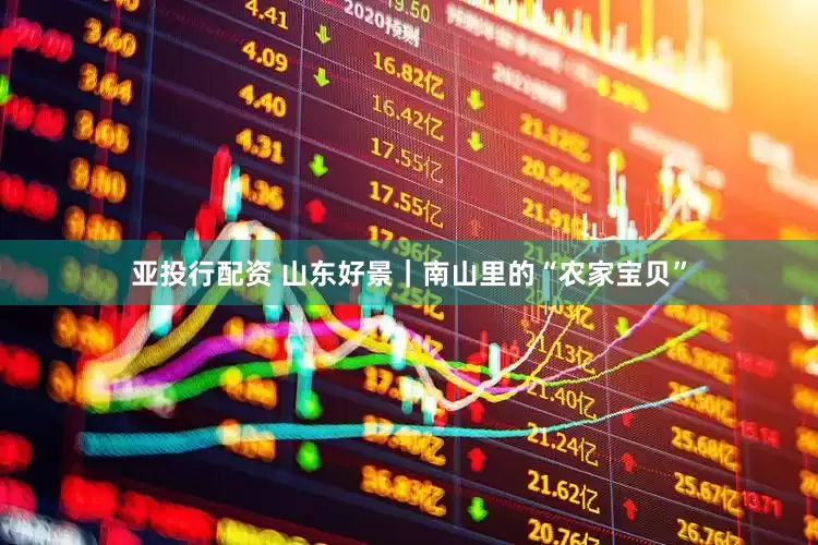 亚投行配资 山东好景｜南山里的“农家宝贝”