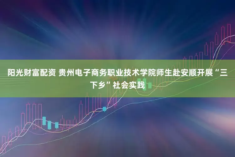 阳光财富配资 贵州电子商务职业技术学院师生赴安顺开展“三下乡”社会实践